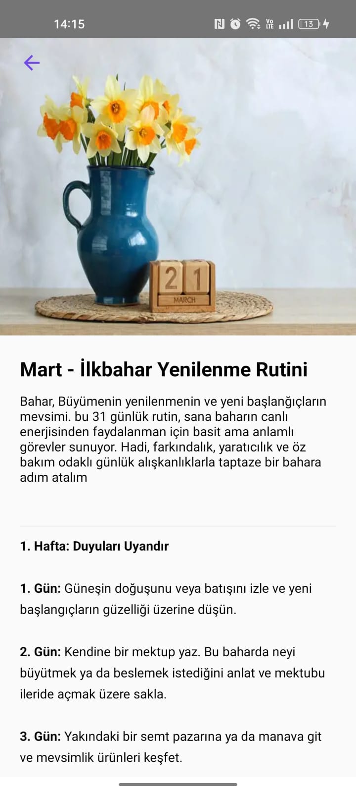 Mart ilkbahar yenilenme rutini programı